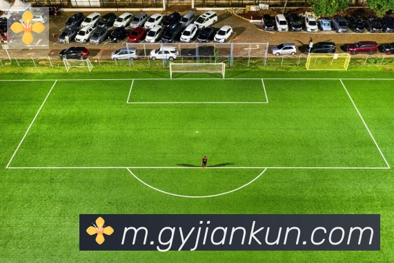 数据防护可视化